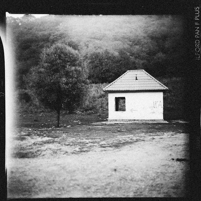 A black and white photograph depicting a small, single-story house located on a flat, bare ground area. The house has a simple rectangular structure with a pitched roof covered in tiles, and a single window visible on the front wall. The surrounding landscape is sparse, featuring a few trees with dense foliage, positioned behind the house, and an open, mostly empty foreground with dirt or gravel surface. In the distance, there is a wooded hillside with dense trees. The scene appears to be taken outdoors, possibly during overcast weather, with diffuse lighting. The setting suggests a rural or semi-rural environment and may be related to house removals or relocation activities, though no moving equipment or personnel are visible in the image.