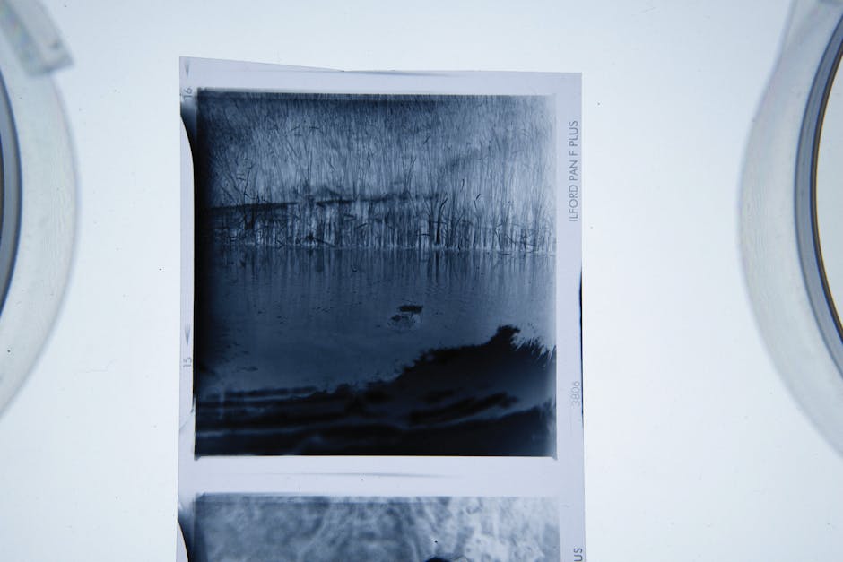 A black-and-white photographic print depicting a tranquil lake scene with overhanging trees and sparse vegetation along the shoreline, placed on a white surface and surrounded by rolls of photographic